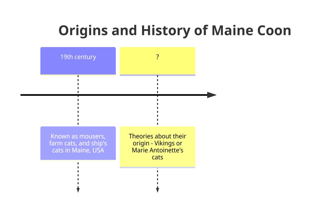 Origins and History of Maine Coon